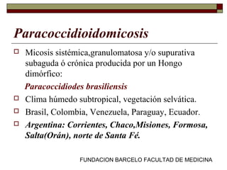 FUNDACION BARCELO FACULTAD DE MEDICINA
Paracoccidioidomicosis
 Micosis sistémica,granulomatosa y/o supurativa
subaguda ó crónica producida por un Hongo
dimórfico:
Paracoccidiodes brasiliensis
 Clima húmedo subtropical, vegetación selvática.
 Brasil, Colombia, Venezuela, Paraguay, Ecuador.
 Argentina: Corrientes, Chaco,Misiones, Formosa,
Salta(Orán), norte de Santa Fé.
 