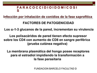 FUNDACION BARCELO FACULTAD DE MEDICINA
P A R A C O C C I D I O I D O M I C O S I
S P A T O G E N I A
Infección por inhalación de conidios de la fase saprofítica
FACTORES DE PATOGENICIDAD
Los α-1-3 glucanos de la pared, incrementan su virulencia
Los polisacáridos de pared tienen efecto supresor
sobre los CD4 con aumento de CD8 en sangre periférica
(prueba cutánea negativa)
La membrana plasmática del hongo posee receptores
para el estradiol impidiendo la transformación a
la fase parasitaria
 