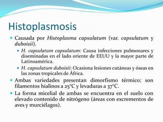 Histoplasmosis 
Causada por Histoplasma capsulatum (var. capsulatum y duboisii). 
H. capsulatum capsulatum: Causa infecciones pulmonares y diseminadas en el lado oriente de EEUU y la mayor parte de Latinoamérica. 
H. capsulatum duboisii: Ocasiona lesiones cutáneas y óseas en las zonas tropicales de África. 
Ambas variedades presentan dimorfismo térmico; son filamentos hialinos a 25°C y levaduras a 37°C. 
La forma micelial de ambas se encuentra en el suelo con elevado contenido de nitrógeno (áreas con excrementos de aves y murciélagos).  