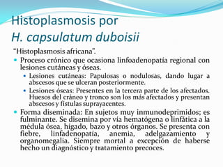 Histoplasmosis por H. capsulatum duboisii 
“Histoplasmosis africana”. 
Proceso crónico que ocasiona linfoadenopatía regional con lesiones cutáneas y óseas. 
Lesiones cutáneas: Papulosas o nodulosas, dando lugar a abscesos que se ulceran posteriormente. 
Lesiones óseas: Presentes en la tercera parte de los afectados. Huesos del cráneo y tronco son los más afectados y presentan abscesos y fístulas suprayacentes. 
Forma diseminada: En sujetos muy inmunodeprimidos; es fulminante. Se disemina por vía hematógena o linfática a la médula ósea, hígado, bazo y otros órganos. Se presenta con fiebre, linfadenopatía, anemia, adelgazamiento y organomegalia. Siempre mortal a excepción de haberse hecho un diagnóstico y tratamiento precoces.  