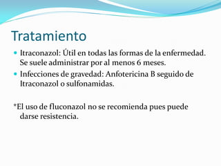 Tratamiento 
Itraconazol: Útil en todas las formas de la enfermedad. Se suele administrar por al menos 6 meses. 
Infecciones de gravedad: Anfotericina B seguido de Itraconazol o sulfonamidas. 
*El uso de fluconazol no se recomienda pues puede darse resistencia. 