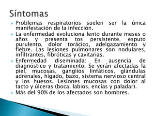  Problemas respiratorios suelen ser la única
manifestación de la infección.
 La enfermedad evoluciona lento durante meses o
años y presenta tos persistente, esputo
purulento, dolor torácico, adelgazamiento y
fiebre. Las lesiones pulmonares son nodulares,
infiltrantes, fibróticas y cavitarias.
 Enfermedad diseminada: En ausencia de
diagnóstico y tratamiento. Se verán afectadas la
piel, mucosas, ganglios linfáticos, glándulas
adrenales, hígado, bazo, sistema nervioso central
y los huesos. Lesiones mucosas con dolor al
tacto y úlceras (boca, labios, encías y paladar).
 Más del 90% de los afectados son hombres.
 