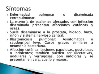  Enfermedad pulmonar o diseminada
extrapulmonar.
 La mayoría de pacientes afectados con infección
diseminada presentan afecciones cutáneas y
óseas.
 Suele diseminarse a la próstata, hígado, bazo,
riñón y sistema nervioso central.
 Blastomicosis pulmonar: Asintomática o
seudogripal leve. Casos graves similares a
neumonía bacteriana.
 Afección cutánea: Lesiones papulosas, pustulosas
o indolentes; también pueden ser ulcerativas,
nodulares y verrugosas. Son indoloras y se
presentan en cara, cuello y manos.
 