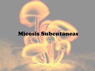Micosis Subcutaneas
 