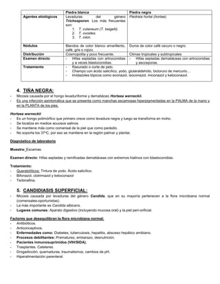 Piedra blanca Piedra negra
Agentes etiológicos Levaduras del género
Trichosporon. Los más frecuentes
son:
1. T. cutaneum (T. beigelii).
2. T. ovoides.
3. T. inkin.
Piedraia hortai (hortae).
Nódulos Blandos de color blanco amarillento,
café, gris o rojizo.
Duros de color café oscuro o negro.
Distribución Cosmopolita y poco frecuente. Climas tropicales y subtropicales
Examen directo - Hifas septadas con artroconidias
y a veces blastoconidias.
- Hifas septadas dematiáceas con artroconidias
y ascosporas.
Tratamiento - Rasurado o corte de pelo.
- Champú con ácido salicílico, yodo, glutaraldehído, bicloruro de mercurio…
- Imidazoles tópicos como econazol, isoconazol, miconazol y ketoconazol.
4. TIÑA NEGRA:
- Micosis causada por el hongo levaduriforme y dematiáceo Hortaea werneckii.
- Es una infección asintomática que se presenta como manchas escamosas hiperpigmentadas en la PALMA de la mano y
en la PLANTA de los pies.
Hortaea werneckii
- Es un hongo polimórfico que primero crece como levadura negra y luego se transforma en moho.
- Se localiza en medios acuosos salinos.
- Se mantiene más como comensal de la piel que como parásito.
- No soporta los 37oC, por eso se mantiene en la región palmar y plantar.
Diagnóstico de laboratorio
Muestra: Escamas.
Examen directo: Hifas septadas y ramificadas dematiáceas con extremos hialinos con blastoconidias.
Tratamiento:
- Queratolíticos: Tintura de yodo. Ácido salicílico.
- Bifonazol, clotrimazol y ketoconazol
- Terbinafina.
5. CANDIDIASIS SUPERFICIAL:
- Micosis causada por levaduras del género Candida, que en su mayoría pertenecen a la flora microbiana normal
(comensales-oportunistas).
- La más importante es Candida albicans.
- Lugares comunes: Aparato digestivo (incluyendo mucosa oral) y la piel peri-orificial.
Factores que desequilibran la flora microbiana normal:
- Antibióticos.
- Anticonceptivos.
- Enfermedades como: Diabetes, tuberculosis, hepatitis, absceso hepático amibiano.
- Procesos debilitantes: Prematurez, embarazo, desnutrición.
- Pacientes inmunosuprimidos (VIH/SIDA).
- Trasplantes. Cateteres.
- Drogadicción, quemaduras, traumatismos, cambios de pH.
- Hiperalimentación parenteral.
 