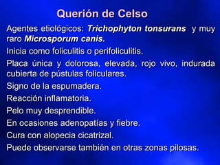 Querión de Celso
Agentes etiológicos: Trichophyton tonsurans y muy
raro Microsporum canis.
Inicia como foliculitis o perifoliculitis.
Placa única y dolorosa, elevada, rojo vivo, indurada
cubierta de pústulas foliculares.
Signo de la espumadera.
Reacción inflamatoria.
Pelo muy desprendible.
En ocasiones adenopatías y fiebre.
Cura con alopecia cicatrizal.
Puede observarse también en otras zonas pilosas.
 