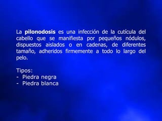 La pilonodosis es una infección de la cutícula del
cabello que se manifiesta por pequeños nódulos,
dispuestos aislados o en cadenas, de diferentes
tamaño, adheridos firmemente a todo lo largo del
pelo.
Tipos:
- Piedra negra
- Piedra blanca
 