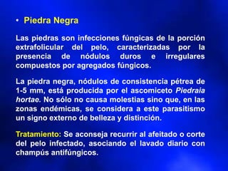 • Piedra Negra
Las piedras son infecciones fúngicas de la porción
extrafolicular del pelo, caracterizadas por la
presencia de nódulos duros e irregulares
compuestos por agregados fúngicos.
La piedra negra, nódulos de consistencia pétrea de
1-5 mm, está producida por el ascomiceto Piedraia
hortae. No sólo no causa molestias sino que, en las
zonas endémicas, se considera a este parasitismo
un signo externo de belleza y distinción.
Tratamiento: Se aconseja recurrir al afeitado o corte
del pelo infectado, asociando el lavado diario con
champús antifúngicos.
 