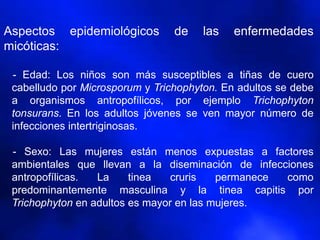 Aspectos epidemiológicos de las enfermedades
micóticas:
- Edad: Los niños son más susceptibles a tiñas de cuero
cabelludo por Microsporum y Trichophyton. En adultos se debe
a organismos antropofílicos, por ejemplo Trichophyton
tonsurans. En los adultos jóvenes se ven mayor número de
infecciones intertriginosas.
- Sexo: Las mujeres están menos expuestas a factores
ambientales que llevan a la diseminación de infecciones
antropofílicas. La tinea cruris permanece como
predominantemente masculina y la tinea capitis por
Trichophyton en adultos es mayor en las mujeres.
 