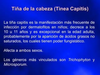La tiña capitis es la manifestación más frecuente de
infección por dermatofitos en niños; decrece a los
10 u 11 años y es excepcional en la edad adulta,
probablemente por la aparición de ácidos grasos no
saturados, los cuales tienen poder fungistático.
Afecta a ambos sexos.
Los géneros más vinculados son Trichophyton y
Microsporum.
Tiña de la cabeza (Tinea Capitis)
 
