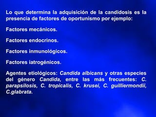 Lo que determina la adquisición de la candidosis es la
presencia de factores de oportunismo por ejemplo:
Factores mecánicos.
Factores endocrinos.
Factores inmunológicos.
Factores iatrogénicos.
Agentes etiológicos: Candida albicans y otras especies
del género Candida, entre las más frecuentes: C.
parapsilosis, C. tropicalis, C. krusei, C. guilliermondii,
C.glabrata.
 