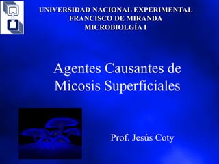 Agentes Causantes de
Micosis Superficiales
UNIVERSIDAD NACIONAL EXPERIMENTAL
FRANCISCO DE MIRANDA
MICROBIOLGÍA I
Prof. Jesús Coty
 