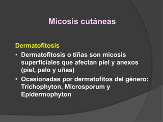 Micosis cutáneas
Dermatofitosis
• Dermatofitosis o tiñas son micosis
superficiales que afectan piel y anexos
(piel, pelo y uñas)
• Ocasionadas por dermatofitos del género:
Trichophyton, Microsporum y
Epidermophyton
 