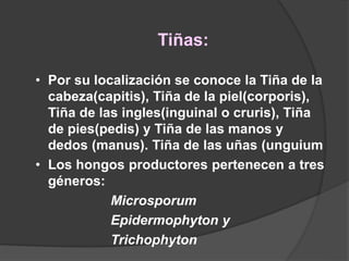 Tiñas:
• Por su localización se conoce la Tiña de la
cabeza(capitis), Tiña de la piel(corporis),
Tiña de las ingles(inguinal o cruris), Tiña
de pies(pedis) y Tiña de las manos y
dedos (manus). Tiña de las uñas (unguium
• Los hongos productores pertenecen a tres
géneros:
Microsporum
Epidermophyton y
Trichophyton
 
