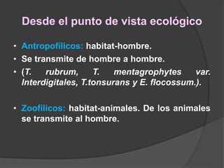 Desde el punto de vista ecológico
• Antropofílicos: habitat-hombre.
• Se transmite de hombre a hombre.
• (T. rubrum, T. mentagrophytes var.
Interdigitales, T.tonsurans y E. flocossum.).
• Zoofílicos: habitat-animales. De los animales
se transmite al hombre.
 