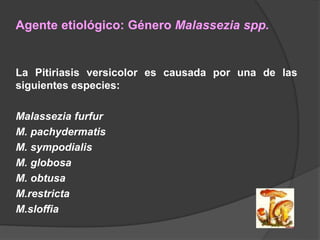 Agente etiológico: Género Malassezia spp.
La Pitiriasis versicolor es causada por una de las
siguientes especies:
Malassezia furfur
M. pachydermatis
M. sympodialis
M. globosa
M. obtusa
M.restricta
M.sloffia
 