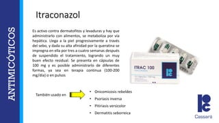 Es activo contra dermatofitos y levaduras y hay que
administrarlo con alimentos, se metaboliza por vía
hepática. Llega a la piel progresivamente a través
del sebo, y dada su alta afinidad por la queratina se
impregna en ella por tres a cuatro semanas después
de suspendido el tratamiento, logrando un muy
buen efecto residual. Se presenta en cápsulas de
100 mg y es posible administrarlo de diferentes
formas, ya sea en terapia continua (100-200
mg/día) o en pulsos
• Onicomicosis rebeldes
• Psoriasis inversa
• Pitiriasis versicolor
• Dermatitis seborreica
Itraconazol
También usado en
ORALES
 
