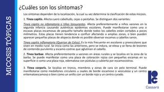 ¿Cuáles son los síntomas?
Los síntomas dependen de la localización, la cual su vez determina la clasificación de estas micosis.
1. Tinea capitis. Afecta cuero cabelludo, cejas o pestañas. Se distinguen dos variantes:
Tinea capitis no inflamatoria o tiñas tonsurantes. Afecta preferentemente a niños varones en la
segunda infancia causando auténticas epidemias escolares. Puede manifestarse como una o
escasas placas escamosas de pequeño tamaño donde todos los cabellos están cortados a pocos
milímetros. Estas placas tienen tendencia a confluir afectando a amplias zonas, o bien pueden
aparecer pequeñas placas de alopecia donde es posible observar escamas y cabellos sanos.
Tinea capitis inflamatoria (Querion de Celso): Es la más frecuente en escolares y preescolares que
viven en medio rural. Se inicia como las anteriores, pero se indura, se eleva y se llena de lesiones
de contenido purulento y escamo-costras que aglutinan el cabello.
2. Tinea barbae. Afecta preferentemente a varones en áreas rurales y se localiza en la zona de la
barba. Se puede manifestar como una placa de coloración rojiza con pequeñas escamas en su
superficie o como una placa roja, edematosa con pústulas y cubierta por escamocostras.
3. Tinea corporis. Se localiza en tronco, miembros y zonas de cara sin pelo terminal. Puede
manifestarse como medallones circulares u ovales de borde escamoso o vesiculoso y un centro
eritematoescamoso o bien como un anillo con un borde rojo y un centro curado.
 