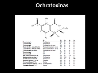 Ochratoxinas
 