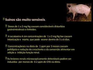  Suínos são muito sensiveis.
 Doses de 1 a 3 mg/kg causam consideráveis disturbios
gastrointestinais e linfoides.
 A ocratoxina A em concentrações de 1 a 2 mg/kg bw causam
intoxicação e morte, que pode ocorer dentro de 5 a 6 dias.
 Concentraçõeses na dieta de 1 ppm por 3 meses causam
polidipsia e redução do cresciiento e da conversão alimentar em
adição a inibição função renal.
As lesiones renais microscopicamente detectáveis podem ser
induzidas por menos de 0.2 ppm de OTA na dieta.
 