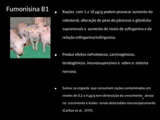 Fumonisina B1
• Rações com 1 a 10 μg/g podem provocar aumento do
colesterol, alteração de peso do pâncreas e glándulas
suprarrenais e aumento de níveis de esfinganina e da
relação esfinganina/esfingosina.
• Produz efeitos nefrotóxicos, carcinogênicos,
teratogênicos, imunossupresivos e sobre o sistema
nervoso.
• Suínos na engorda que consumam rações contaminadas em
niveles de 0,2 a 4 μg/g tem diminuição do crescimento
,atraso
no crecimiento e lesões renais detectables microscópicamente
(Carlton et al., 1979),
 