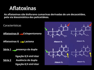 Aflatoxinas
As aflatoxinas são bisfurano cumarinas derivadas de um decacetídeo,
pela via biossintética dos policetídeos.
Características
Aflatoxinas B Ciclopentanona
Aflatoxinas G Lactona
Série 1 presença da dupla
ligação 8,9 vinil éter
Série 2 Ausência de dupla
ligação 8,9 vinil éter
 