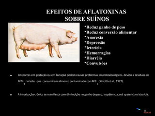 8
•Reduz ganho de peso
•Reduz conversão alimentar
•Anorexia
•Depressão
•Icterícia
•Hemorragias
•Diarréia
•Convulsões
EFEITOS DE AFLATOXINAS
SOBRE SUÍNOS
RESILAB
• Em porcas em gestação ou em lactação podem causar problemas imunotoxicológicos, devido a residuos de
AFM
1
no leite que consumiram alimento contaminado con AFB
1
(Silvotti et al., 1997).
• A intoxicação crônica se manifiesta com diminuição no ganho de peso, inapêtencia, má aparencia e ictericia.
 