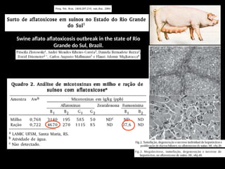 Swine aflato aflatoxicosis outbreak in the state of Rio
Grande do Sul, Brazil.
 
