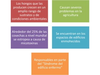 Los hongos que las
producen crecen en un
amplio rango de
sustratos y de
condiciones ambientales
Causan severos
problemas en la
agricultura
Alrededor del 25% de las
cosechas a nivel mundial
se estropea a causa de
micotoxinas
Se encuentran en los
espacios de edificios
enmohecidos
Responsables en parte
del "Síndrome del
edificio enfermo"
 
