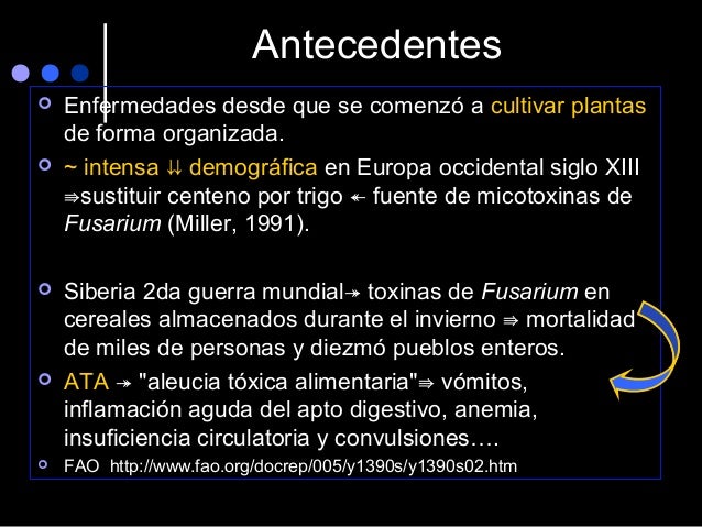 La hidrocortisona de los granos sobre la persona las revocaciones
