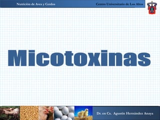 Nutrición de Aves y CerdosCentro Universitario de Los Altos Dr. en Cs.  Agustín Hernández Anaya Secuestrantes  de  Micotoxinas 