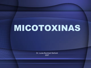 MICOTOXINAS Dr. Lucas Burchard Señoret 2007 