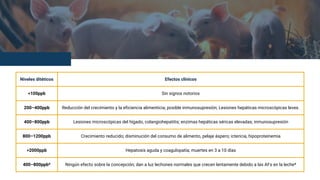 Niveles ditéticos Efectos clínicos
<100ppb Sin signos notorios
200–400ppb Reducción del crecimiento y la eficiencia alimenticia; posible inmunosupresión; Lesiones hepáticas microscópicas leves.
400–800ppb Lesiones microscópicas del hígado, colangiohepatitis; enzimas hepáticas séricas elevadas; inmunosupresión
800–1200ppb Crecimiento reducido; disminución del consumo de alimento, pelaje áspero; ictericia, hipoproteinemia
>2000ppb Hepatosis aguda y coagulopatía; muertes en 3 a 10 días
400–800ppb* Ningún efecto sobre la concepción; dan a luz lechones normales que crecen lentamente debido a las AFs en la leche*
 
