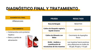 PRUEBA RESULTADO
Rosa de Bengala NEGATIVO
Cultivo de Hisopado vaginal y
liquido toracico
NEGATIVO
Cultivo de Alimento con
Moho
Crecimiento de Aspergillus
flavus.
ELISA - Análisis y
cuantificación de
micotoxinas de tres muestras
Las muestras fueron positivas
para aflatoxinas en niveles de
80 ppb, 90 ppb y 110 ppb
Aflatoxicosis
DIAGNÓSTICO FINAL Y TRATAMIENTO
DIAGNÓSTICO FINAL
Oxitetraciclina como protector
hepático
Retiro y cambio de
alimentación
TRATAMIENTO
 