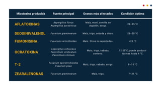 Aspergillus flavus
Aspergillus parasiticus
AFLATOXINAS
Micotoxina producida Fuente principal Granos más afectados Condición óptima
DEOXINIVALENOL
FUMONISINA
OCRATOXINA
ZEARALENONAS
T-2
Fusarium graminearum
Fusarium verticillioides
Aspergillus ochraceus
Penicillium viridicatum
Penicillium citrinum
Fusarium sporotrichioides
Fusarium poae
Fusarium graminearum
Maíz, maní, semilla de
algodón, sorgo.
Maíz, trigo, cebada y otros.
Maíz. Otros no reportados.
Maíz, trigo, cebada,
centeno.
Maíz, trigo, cebada, sorgo.
Maíz, trigo.
24–35 °C
26–28 °C
<25 °C
12-25°C; puede producir
toxinas hasta 4 °C.
8–15 °C
7–21 °C
 
