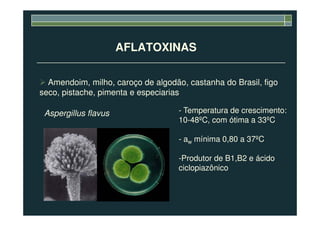 AFLATOXINAS
Amendoim, milho, caroço de algodão, castanha do Brasil, figo
seco, pistache, pimenta e especiarias
Aspergillus flavus - Temperatura de crescimento:Aspergillus flavus - Temperatura de crescimento:
10-48ºC, com ótima a 33ºC
- aw mínima 0,80 a 37ºC
-Produtor de B1,B2 e ácido
ciclopiazônico
 