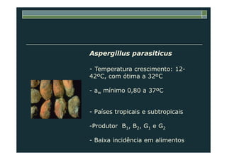 Aspergillus parasiticus
- Temperatura crescimento: 12-
42ºC, com ótima a 32ºC
- aw mínimo 0,80 a 37ºC
- Países tropicais e subtropicais
-Produtor B1, B2, G1 e G2
- Baixa incidência em alimentos
 