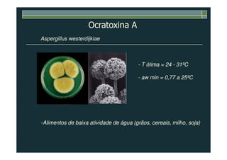 Aspergillus westerdijkiae
-- T ótima = 24T ótima = 24 -- 31ºC31ºC
-- aw min = 0,77 a 25ºCaw min = 0,77 a 25ºC
Ocratoxina A
-- aw min = 0,77 a 25ºCaw min = 0,77 a 25ºC
--Alimentos de baixa atividade de água (grãos, cereais, milho, soja)Alimentos de baixa atividade de água (grãos, cereais, milho, soja)
 