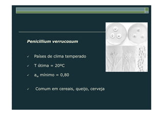 Penicillium verrucosum
Países de clima temperadoPaíses de clima temperado
T ótima = 20ºC
aw mínimo = 0,80
Comum em cereais, queijo, cerveja
 