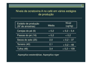 Níveis de ocratoxina A no café em vários estágios
de produção
Estádio de produção
(Nº de amostras) Média
Nível
(ug/kg)
Cerejas do pé (6) < 0,2 < 0,2 – 0,4
Passas do pé (16) < 0,2 < 0,2
Secos do solo (25) 2,0 < 0,2 – 37
Terreiro (40) 2,1 < 0,2 – 48
Tulha (48) 3,4 < 0,2 – 109
Aspergillus westerdijkiae, Aspergillus niger
 