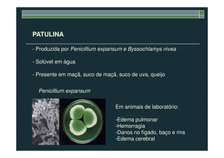 PATULINA
- Produzida por Penicillium expansum e Byssochlamys nivea
- Solúvel em água
- Presente em maçã, suco de maçã, suco de uva, queijo
Penicillium expansum
Em animais de laboratório:
-Edema pulmonar
-Hemorragia
-Danos no fígado, baço e rins
-Edema cerebral
 