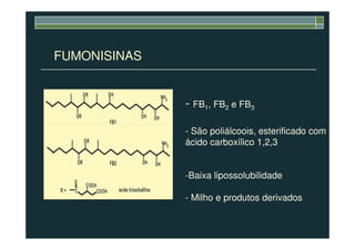 FUMONISINAS
- FB1, FB2 e FB3
- São poliálcoois, esterificado com
ácido carboxílico 1,2,3
-Baixa lipossolubilidade
- Milho e produtos derivados
 