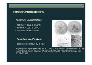 FUNGOS PRODUTORES
- Tótima = 22,5 a 27,5ºC
- aw min = 0,87 a 25ºC
- produtor de FB1 e FB2
Fusarium verticillioides
Fusarium proliferatum
-produtor de FB1, FB2 e FB3
Aspergillus niger (Frisvad et al., 2007, Production of fumonisin B2 by
Aspergillus niger, Journal of Agricultural and Food Chemistry, 55:
9727-9732)
 