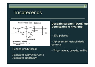 Tricotecenos
Desoxinivalenol (DON) ou
Vomitoxina e nivalenol
- São polares
- Apresentam estabilidade
química
- Trigo, aveia, cevada, milho
Fungos produtores:
Fusarium graminearum e
Fusarium culmorum
 