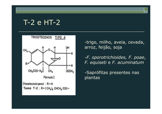 T-2 e HT-2
-trigo, milho, aveia, cevada,
arroz, feijão, soja
-F. sporotrichioides, F. poae,-F. sporotrichioides, F. poae,
F. equiseti e F. acuminatum
-Saprófitas presentes nas
plantas
 