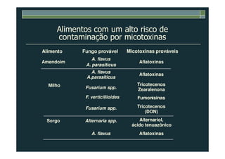 Alimentos com um alto risco de
contaminação por micotoxinas
Alimento Fungo provável Micotoxinas prováveis
Amendoim
A. flavus
A. parasiticus
Aflatoxinas
A. flavus
A.parasiticus
Aflatoxinas
Milho
A.parasiticus
Fusarium spp.
F. verticillioides
Tricotecenos
Zearalenona
Fumonisinas
Sorgo
Fusarium spp.
Alternaria spp.
A. flavus
Tricotecenos
(DON)
Alternariol,
ácido tenuazônico
Aflatoxinas
 