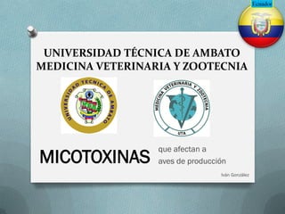 UNIVERSIDAD TÉCNICA DE AMBATO
MEDICINA VETERINARIA Y ZOOTECNIA
que afectan a
aves de producción
Iván González
MICOTOXINAS
 