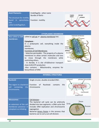 Micp Lec Wk 2- Bacterial Morphology, Growth Reqt_43031235.pdf