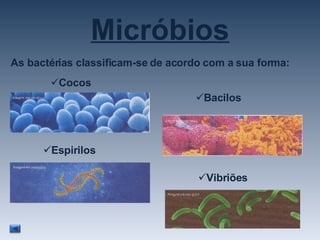 Micróbios As bactérias classificam-se de acordo com a sua forma: Cocos Bacilos Espirilos Vibriões 