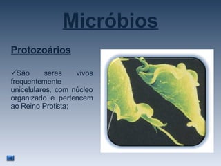 Micróbios Protozoários São seres vivos frequentemente unicelulares, com núcleo organizado e pertencem ao Reino Protista; 